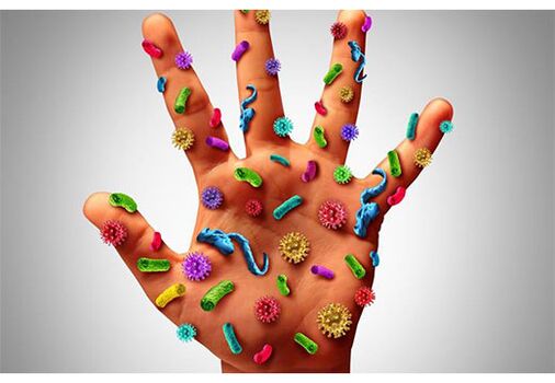 The foci of the human papillomavirus are found on the hands. 